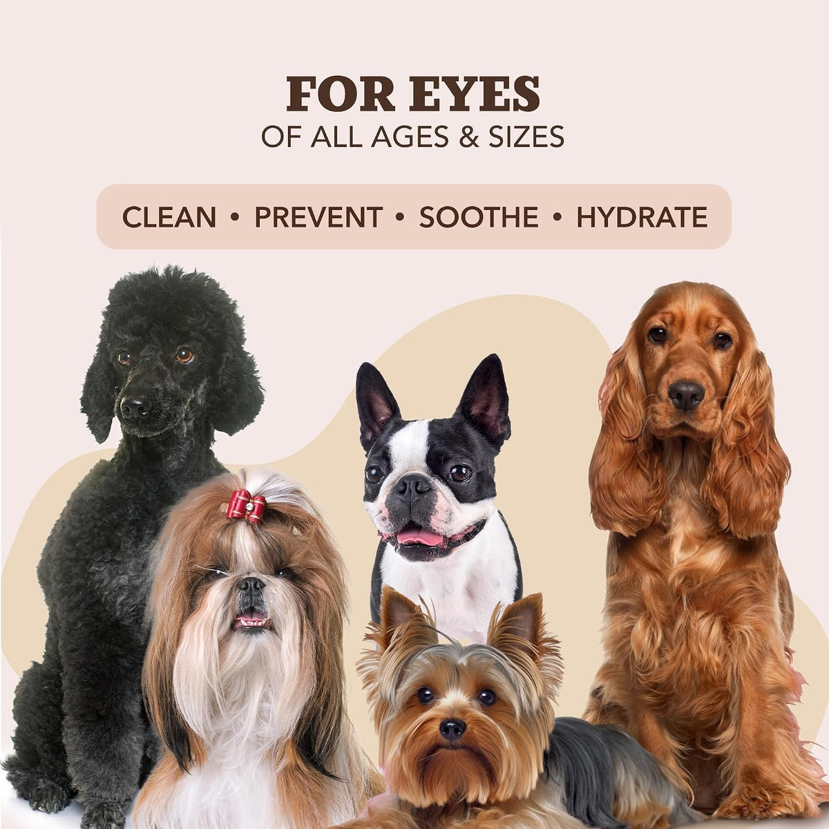 The Occupawed Paw Refresh – Natural Grooming & Paw Wipes (50ct) — $17.99