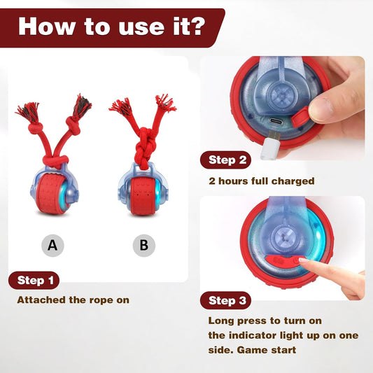 The Occupawed Roamer Mini - Automatic Motion Dog Ball