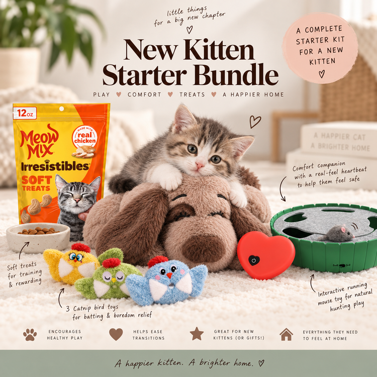 New kitten starter bundle