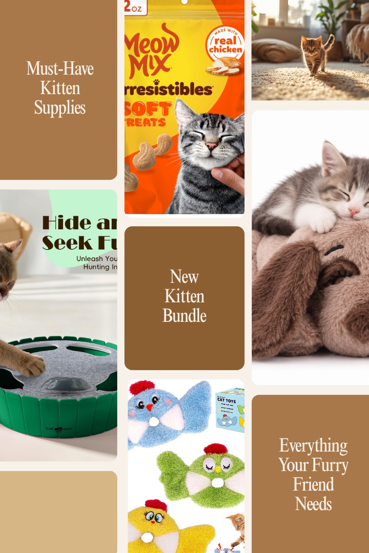 New Kitten Starter Bundle - cover collage