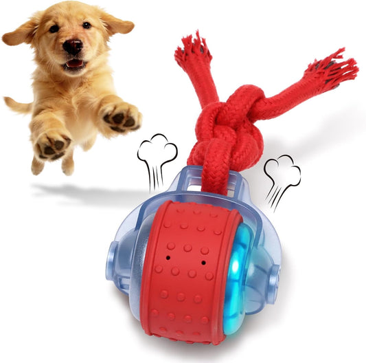 The Occupawed Roamer Mini - Automatic Motion Dog Ball