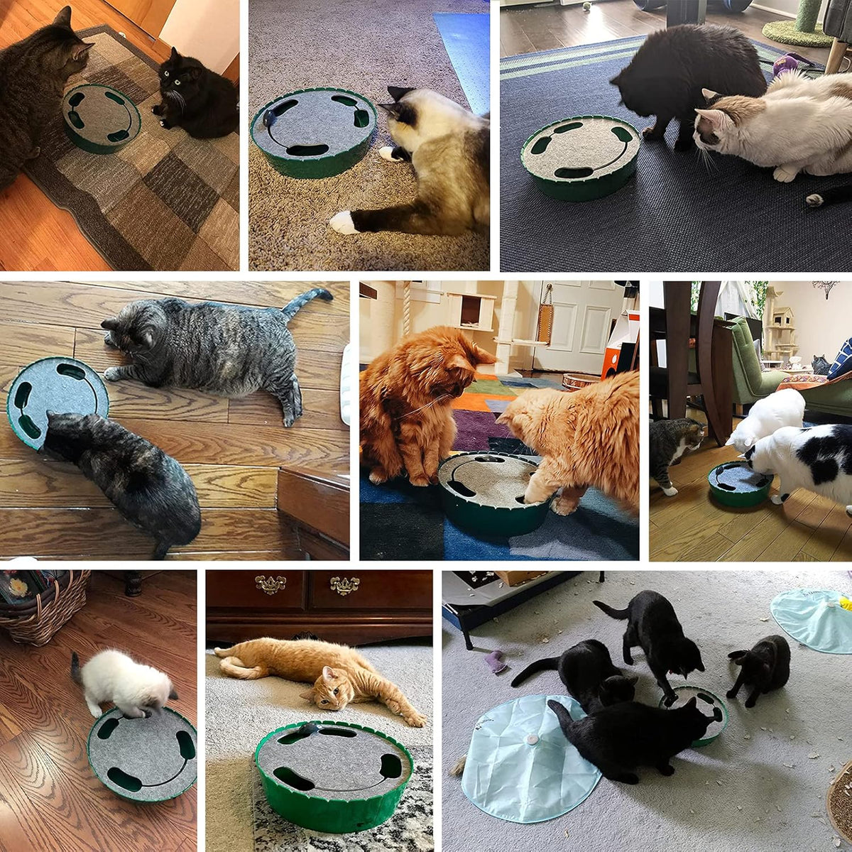 The Occupawed Chase — Interactive Running Mouse Toy for Cats