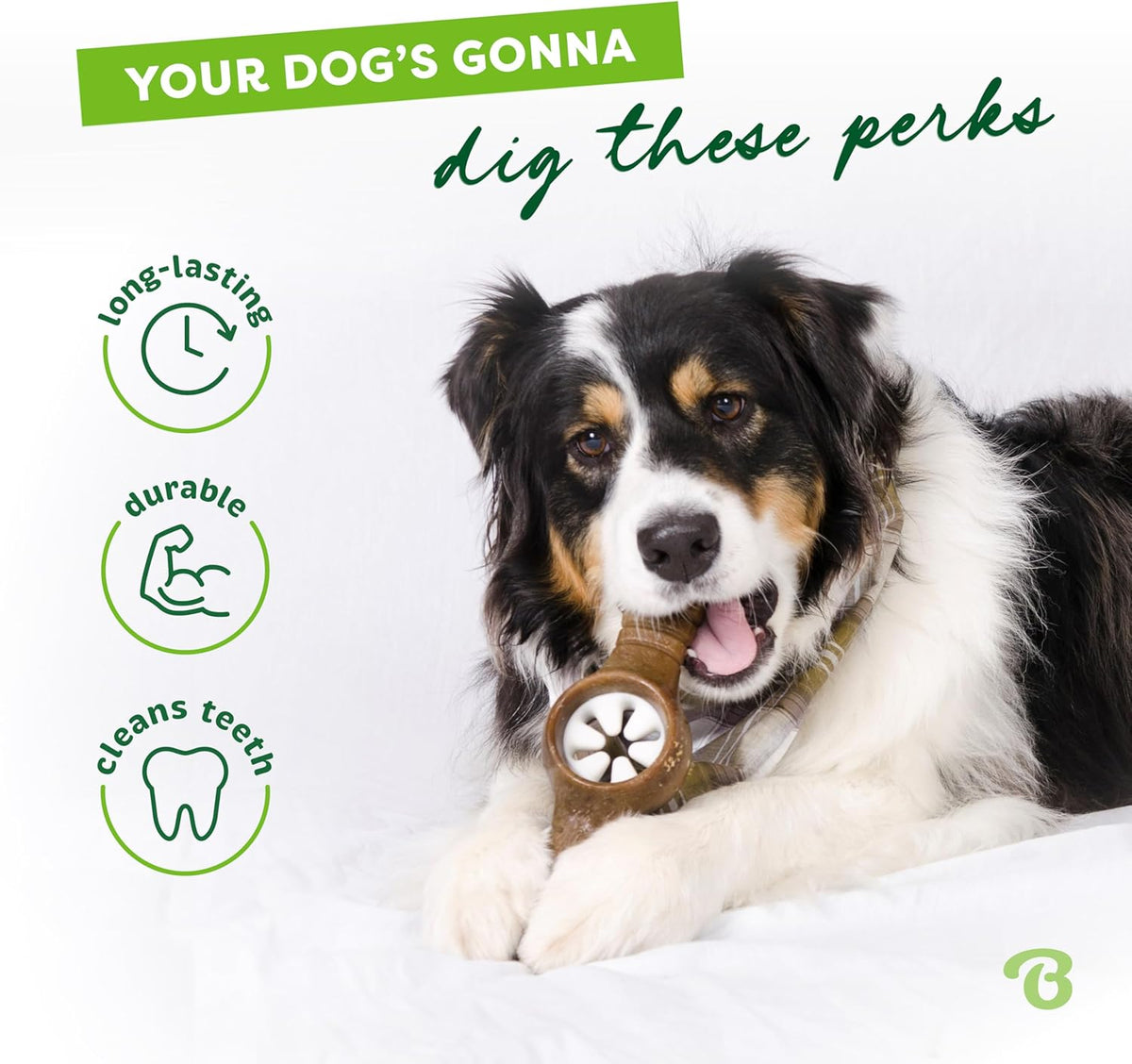 The Occupawed Chew Wheel - Dog Distraction Toy