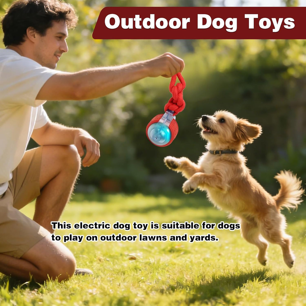 The Occupawed Roamer Mini - Automatic Motion Dog Ball