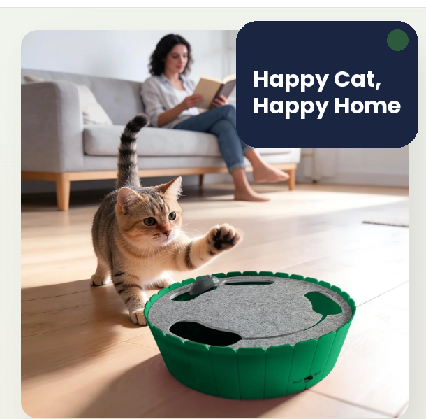 Chase Interactive Running Mouse Toy
